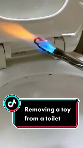 Removing a toy from a toilet 