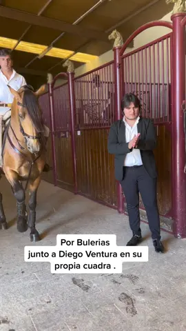 Esto ocurrió detrás de las cámaras el día que grabamos el videoclip junto a Diego Ventura en su propia cuadra y al toque Diego Amaya. #flamenco #parati #tiktokespaña #samuelserrano 