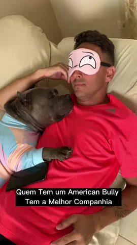 Quem Tem um American Bully Tem a Melhor Companhia 🤗