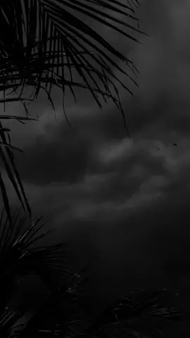 Spooky Beach #background #backgroundvideo #wallpaper #freevideo #wallpapervideo #livebackground #freewallpaper #storm #beach #spooky 