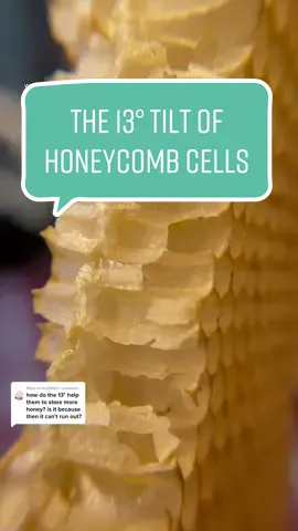 Replying to @shalilalilo The 13° of honeycomb cells #fyp #foryou #beekeeper #bees #beetok #beehive #honeycomb #honey #beeswax #nature #pollen 