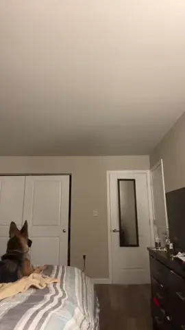 El duo dinamico #fyp #ecuador#USA #Relationship 