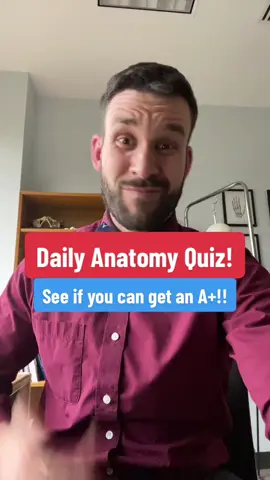 What’s a rabbits favorite blood vessel? #anatomy #anatomyandphysiology #cardiology #cardiovascular #nursingstudent #premedstudent #medschool #fyp #foryoupage #fypシ 