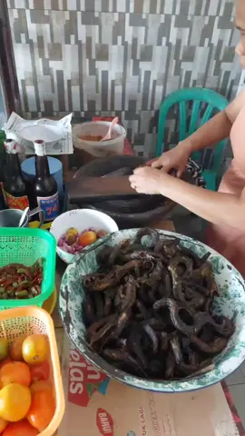 #rujakbelut #rujak #kuliner #kulinertiktok #kulinerindonesia #brebes #brebesviral #brebestiktokers #brebes_berhias #tegal #tegallakalaka #ngapak 