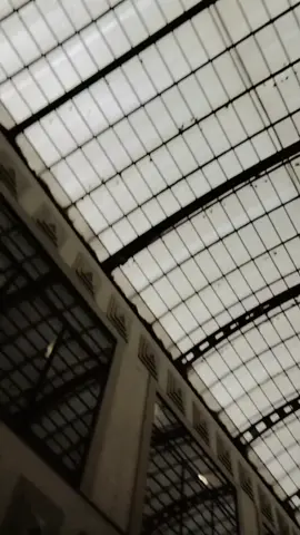 #bhojpuriqueen✌️👸 #yadav_brand_brt🤞🤘 #viralvideo #nesa_yadav #foryoupage #queen_of_brt♥️♥️ #nesa_yadav4 #nesa_yadav5 