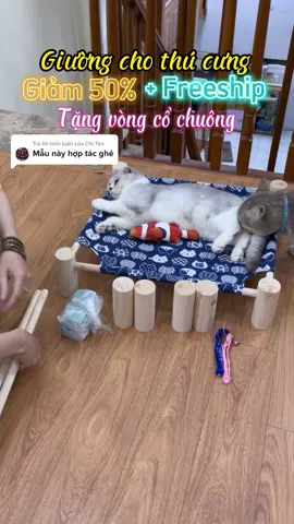 Trả lời @Chí Tân  Mèo nghiện giường chứ không có phải mèo giả đâu. Mọi người mua giường ủng hộ shop nha! #meo #cat #catsoftiktok #dogsoftiktok #dog #pets #PetsOfTikTok 