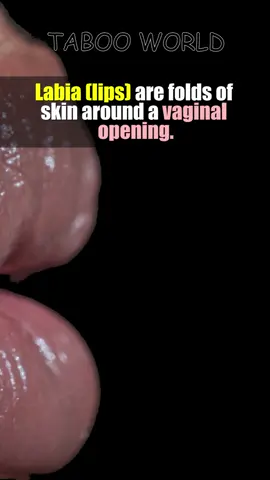 Did you know this? #ladiesfacts #labia #lips 