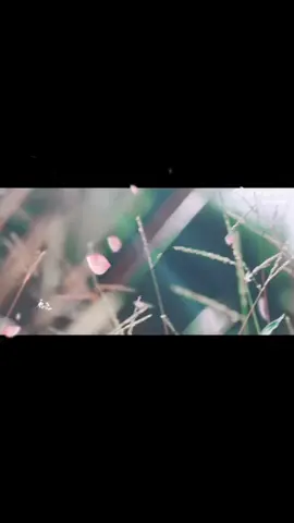 #成毅 #傅詩淇 #悅遊 