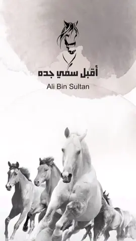 بشارة مولود سمي جده للطلب واتس او انستا🤍#بشارة_مولود #تصاميم_فيديوهات #تصميم_دعوات_الكترونية #عقد_قران #بشارة_حمل #بشارة_عقد_قران #دعوة_زفاف #دعوة_عشاء #دعوات_زواج 