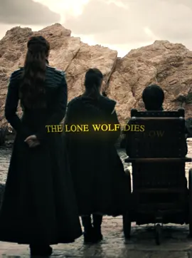 after everything house stark went through im glad their ending was happy - #housestark #housestarkedit #sansastark #aryastark #jonsnow #sansastarkedit #aryastarkedit #jonsnowedit #gameofthrones #gameofthronesedit #got #gotedit 