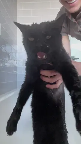 Dog poo again… argh #bathtime #bath 