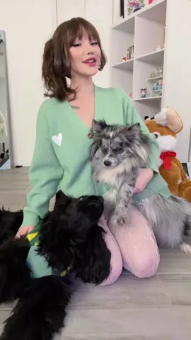 They are so cute PLS 