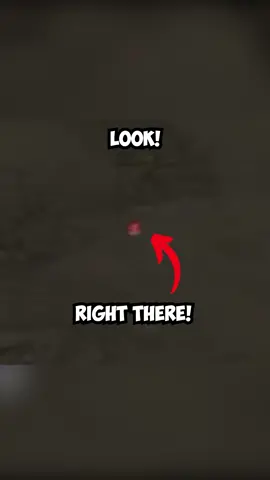 Someone said that its the pokeball of your first pokemon on your team and a dev marker! #scottspc #pokemon #pokemongo #pokemoncards #pokemontcg