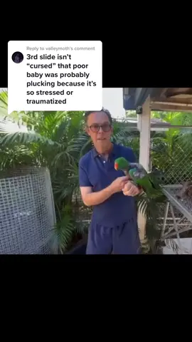 Replying to @valleymoth i hate having to explain this #birds #petbirds #featherplucking #parrots 