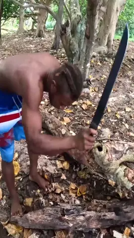 (15) - Survival series with YBS Youngbloods#seafood #octopus #spearfishing #survival #tiktokfish #catchandcook #fyp