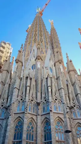 Barcelona Cathedral ,Spain’s most famous church,not completed so far! #traveltiktoks #gothicarchitecture #barcelona #spain 