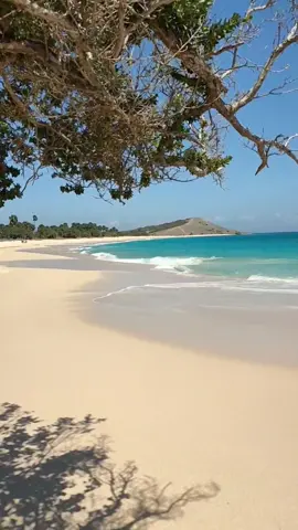 📍Liman Beach Semau, NTT Pantai pasir putih dengan sejuta spot menarik tawarkan sejumlah aktivitas seru dan menarik. ______________________ #nyonggalang #tripwithnyonggalang #beach #liman #pantailimanpulausemau #pantailiman #pesonaindonesia #wonderfulindonesia #visitkupang 
