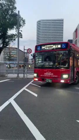 OMNIBUS Sleppernya japan 😇 #fyp #basurihorn #teloletbasuri #storybusmania #kenshuseijapan🇮🇩🇯🇵🎌 #pejuangyen🇮🇩🇯🇵 #fypシ 
