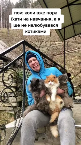 в мене вже ломка за ними🥺 #студентськежиття #дома #жиза #село #першокурсник #маминазірочка #студентизрозуміють #гуртожиток 