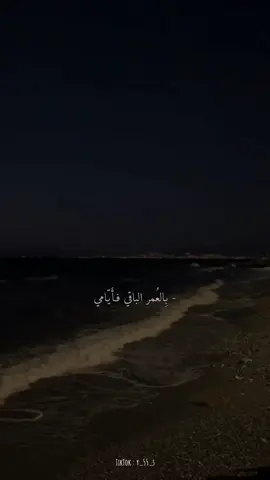 #explore #viral #fyp #بدون_موسيقى #VN #لو_تطلب_نجمة_هجيبهالك#❤️ 