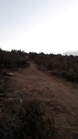 Se le partio la espalda 😂 #downhill #chile🇨🇱 #caida #funny #trending #viral #enduro #mtb #bike #riders #foryou