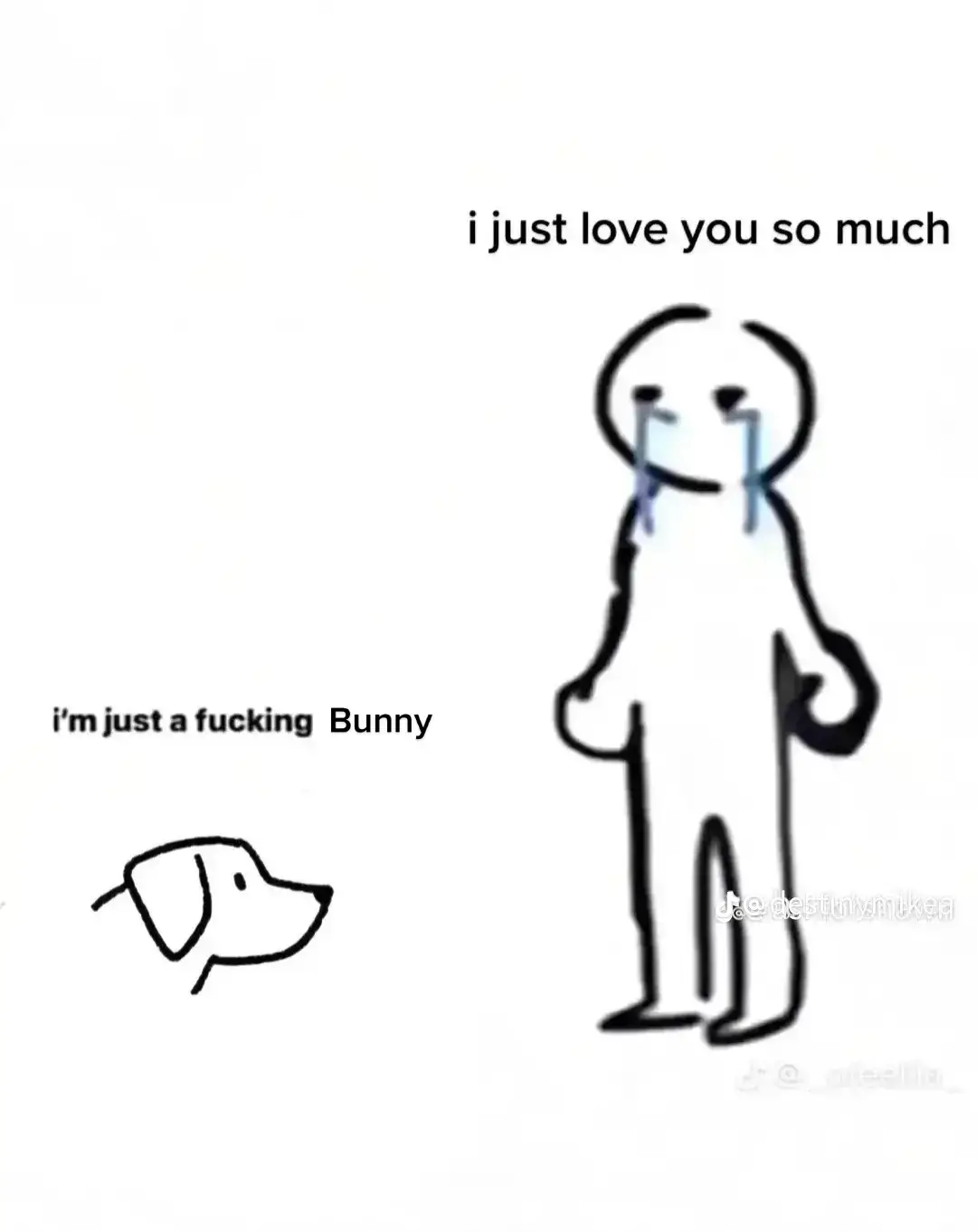 #fyp #qween #bunny #bunnygirl #bunnytok #bunniesoftiktok 