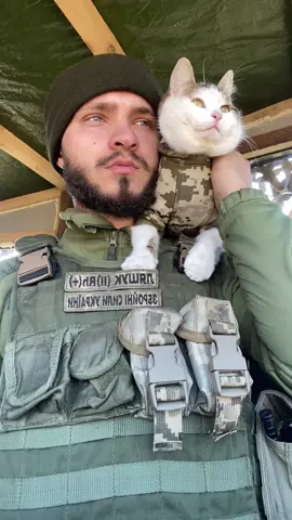 Inst: a_lyashuk_ #ukraine🇺🇦 #україна #animals #war #зсу #війна #солдат #kittens #Шайба #cat #tacticalcat #Puck #Шайбусік #посміхнися 