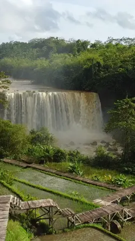 Baru tau banget kalo sukabumi punya kaya gini 😭 Bagus banget! #curugawang #geoparkciletuh #sukabumi #jawabarat #fyp #fypシ #drone #djimini #djicosmo 