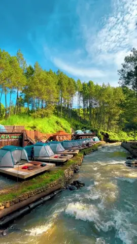 Talaga Pineus Camp Pangalengan Kab Bandung  🎥 _kopites_man #destinasiwisata #bandunghits #bandung #jelajahbandung #explorebandung #bandungbanget #destinasibandung #laguviral 