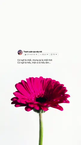 Tất cả cũng chỉ là cứ ngỡ… #thanhxuantuamaytroi #sttbuontamtrang #story #fyp #xuhuong #PhaiDepNgayNay #WomenOfTikTok 