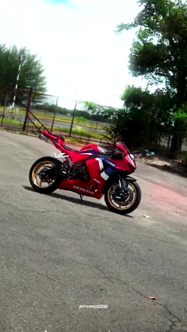 Tiktok premium sesekali. CBR600RR FULL MODS😍 #cbr600rr #cbr600 #moge #sunmorimedan #speedramp #timeremapping #fyp #fypシ