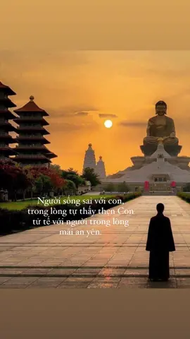 Người sống sai với con, trong lòng tự thấy thẹn Con tử tế với người trong lòng mãi an yên.#xuhuong #hptan1 #fypシ #fyp #sad 