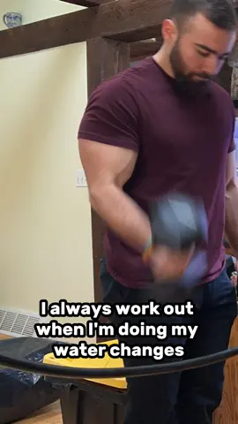 Important advice for goldfish keepers out there #fish #goldfish #aquarium #workingout 