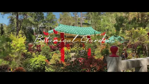 Baguio Botanical Garden ❤️ #baguio #baguiocity #videography #cinematic #cinematics #cinematicvideo #cinematicisback #cinematography #fyp #fypシ #fypシ゚viral #fypage #fypdongggggggg #fyppppppppppppppppppppppp #fypp #fypdong #fypgakni #fypsounds #foryou #foryoupage #foryourpage #foryoupageofficiall #foryoupage❤️❤️ #foryour 