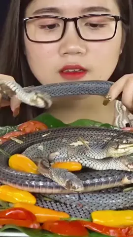 Garota comendo cobra (girl eating snake) #asmrsounds #eatingsnake #snake #snakemukbang #comercobra #cobra #asmrsnake #snakemukbang #ShowMukbang