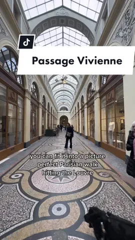 Passage Vivienne is one of the most beautiful covered passageways in Paris. Home to a great wine shop and restaurant, Legrand filles et fils.  #tourguide #cityguide #pariswalk #paris #visitparis #architecture #pariswine #neoclassical #parisarchitecture #galerievivienne #parissecrets 