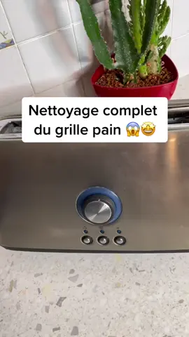 Une bonne astuce pour complètement nettoyer son grille pain #astuce #nettoyage #clean #cleanwithme 
