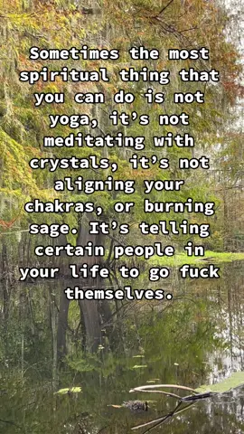 Word. Wise woods. 
