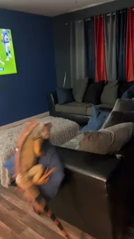 Built different #pet #reptile #exoticpets #iguana 