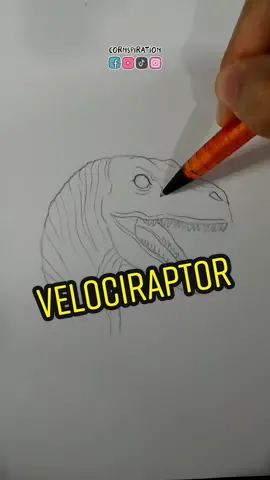 Cómo dibujar un Velociraptor 👨‍🎨👩‍🎨 #dibujo #arte #tutorial 