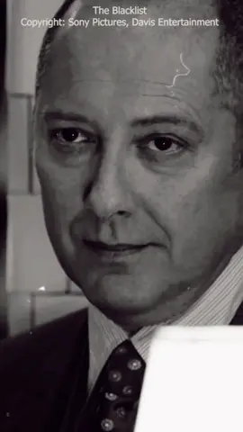 #theblacklist #einzelgänger #filmzitate #fürdich #foryoupage #foryourpage 