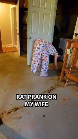 HER FACE! 😂🐀 #funnytiktoks #couplestiktok #funny #husbandwifecomedy #husbandprankswife 