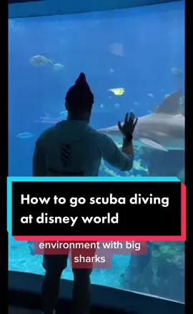 One of the biggest hidden gems of all time 🤿💎👌 #scubaspots #divespots #disneyhiddengems #epcotdivequest #scubatok #divingwithkenny #scubadivingwithkenny 