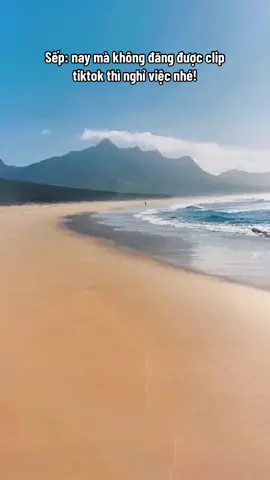 Sếp biết sếp buồn lắm á…#booktokvietnam #1980books #LearnOnTikTok #tiktokmentor #codochuongngoai 