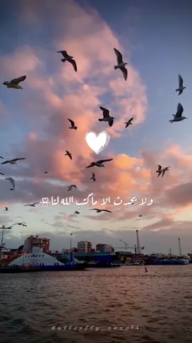 ‏﮼ولايحدث،الا،ماكتب،الله،لنا🌊🤍🙏🏻 #صباح_الخير #رسالة_اليوم #دعوة_من_القلب #اللهم_امين #يارب #يارب_دعوتك_فأستجب_لي_دعائي #ستوريات #حالات_واتس #تصميمي #fypシ #foryou #viral #explore #trending #butterfly_zozo94 #story 