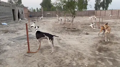 Dera jamali ❤️😎😎