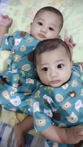 #kembar #twins #twin #twinboy #videolucuviral😂 