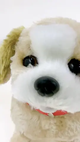Hermoso cachorro de juguete Se sienta,camina y se voltea!! Para los niños que adoran a las mascotas 🐶 https://super99.com.py #perrosaltarin #perrojuguete #perritoapila #jugueteapila #juguete #cachorroquepula #cachorrinho que #pula Código:898