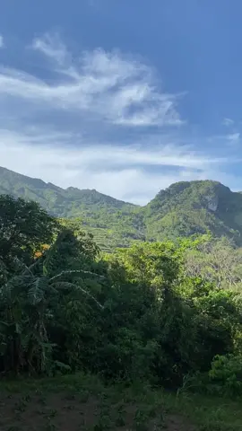 p a h i n g a 🍃 #MountainView #naturetrip #RelaxingView #TravelVibes #Nature 