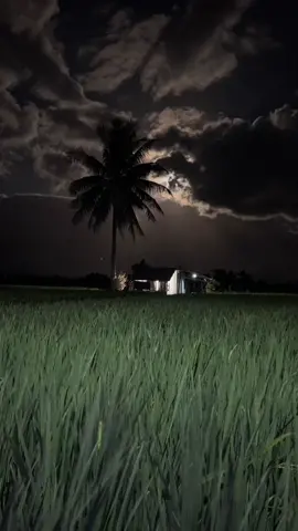 I can stay here all night watching this view 😍🌖 #fyp #moonlight #timelapsevideo #bukid #probinsya 